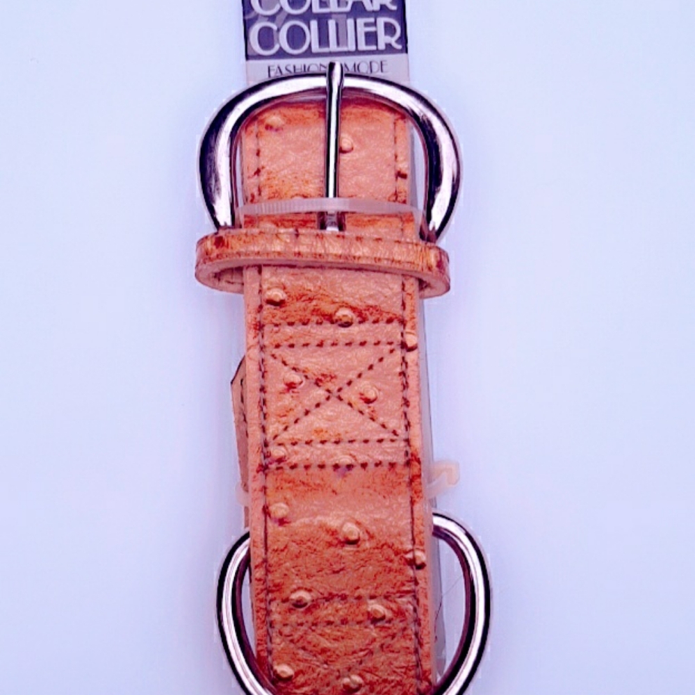 Petmate leather Dog collar